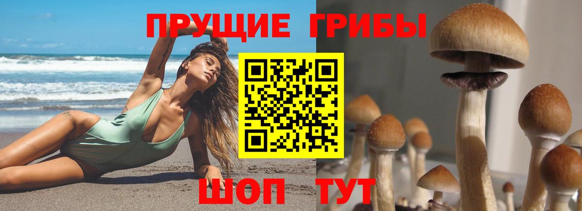 Псилоцибиновые грибы Magic Shrooms Гудермес